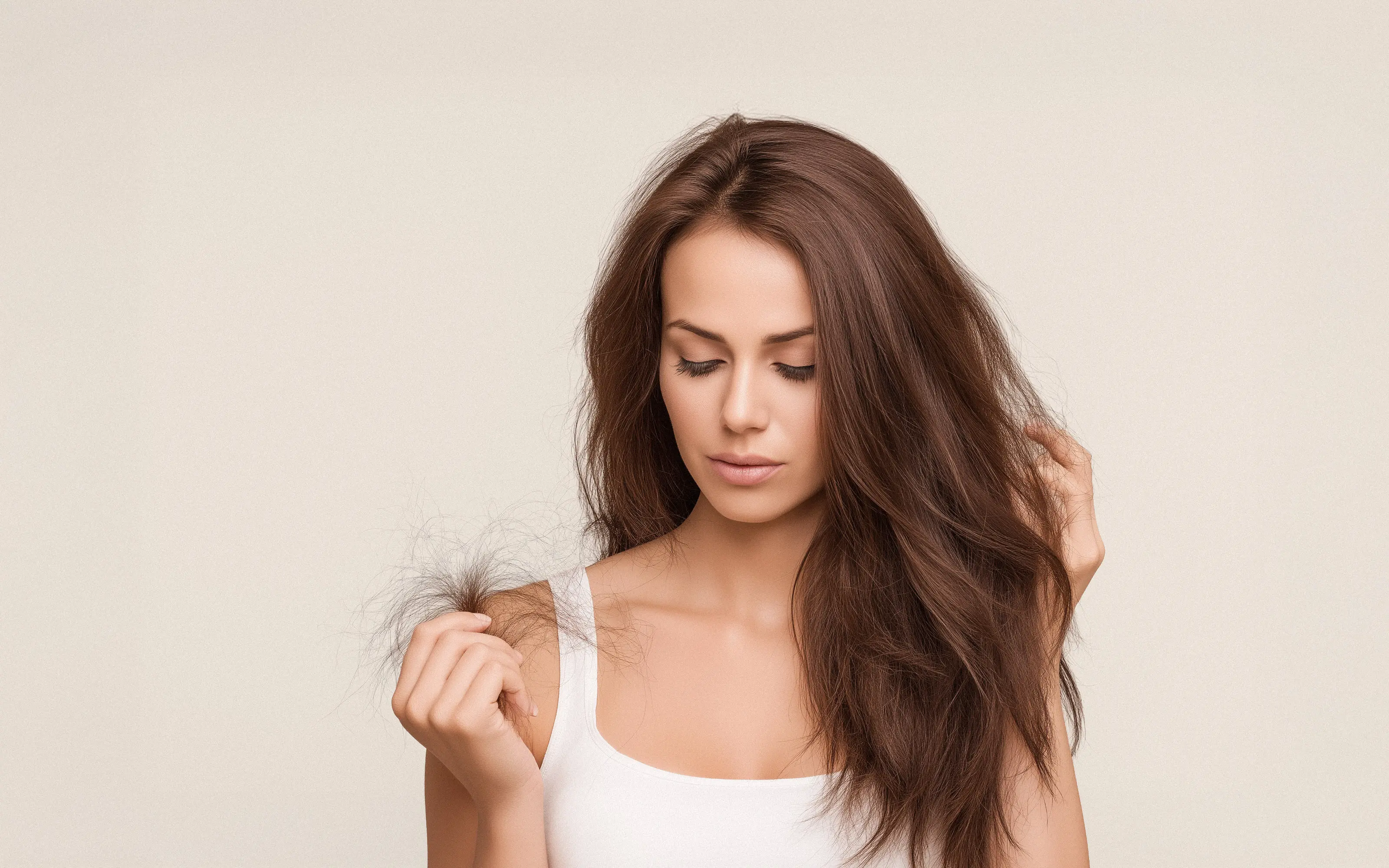 Image by notthoff La Biosthétique Friseur C Perücken Extensions 25